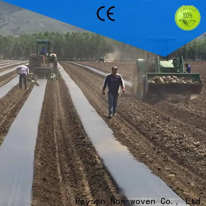 rayson nonwoven Bulk buy ground weed control fabric price for blanket 1