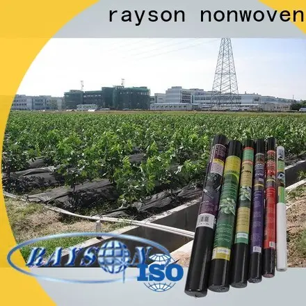 rayson nonwoven Bulk buy securing landscape fabric manufacturer for outdoor 1