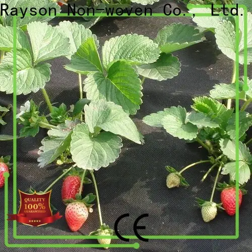Bulk purchase garden weed control fabric fleece manufacturer for farm 1