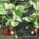 Bulk purchase garden weed control fabric fleece manufacturer for farm 1