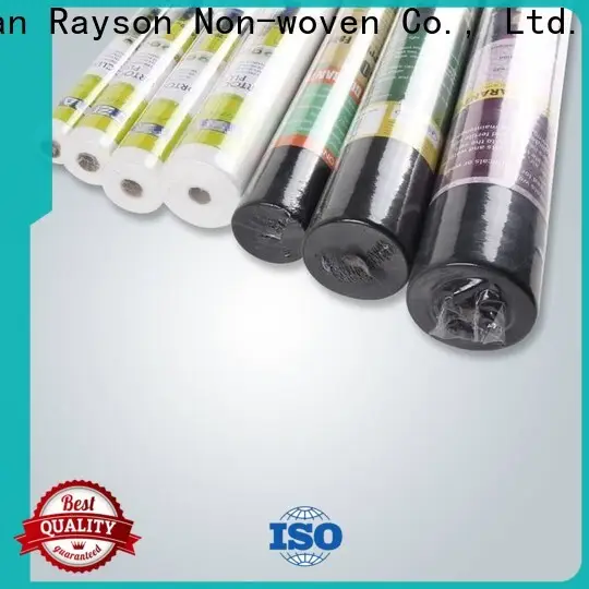 rayson nonwoven weed control garden weed control fabric manufacturer for outdoor 1