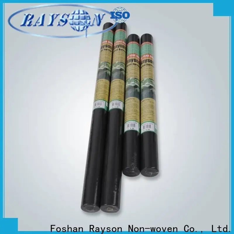 rayson nonwoven OEM landscape fabric price manufacturer for clothing 1