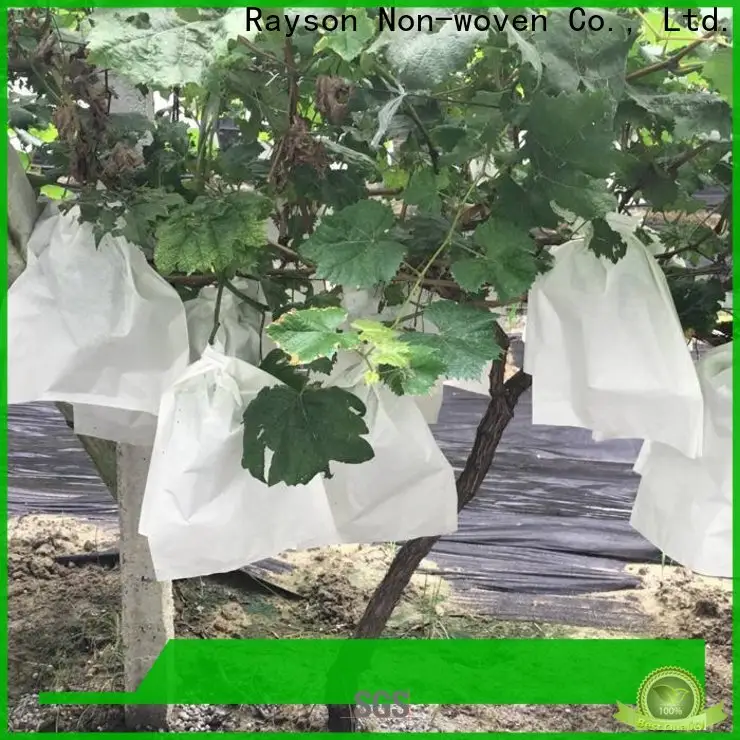 rayson nonwoven agricultral weed control fabric pins price for indoor 1