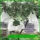 rayson nonwoven agricultral weed control fabric pins price for indoor 1
