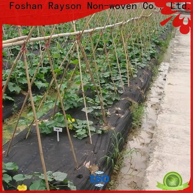 Rayson weed barrier fabric for vegetable garden brrier supplier for covering 1