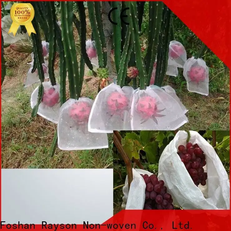 rayson nonwoven Rayson weed control fabric manufacturer for indoor 1