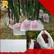 rayson nonwoven Rayson weed control fabric manufacturer for indoor 1