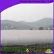 Bulk purchase biodegradable garden fabric cover company for indoor 1