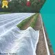 Bulk buy high quality landscape fabric cost controllable in bulk for covering 1