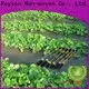 rayson nonwoven mulching haji non woven fabric factory for clothing 1