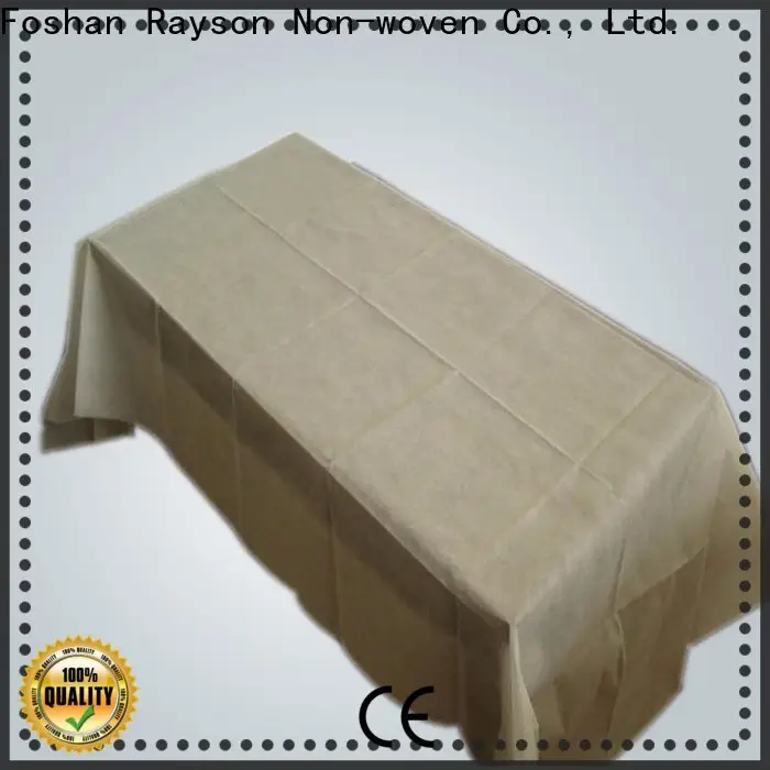 rayson nonwoven Wholesale ODM medical grade polypropylene fabric manufacturer 1