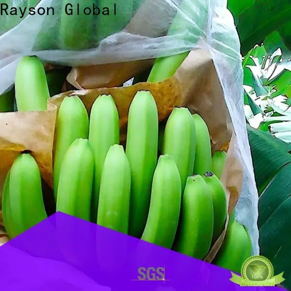 Rayson sree ranga toplu olarak dokunmamış 1