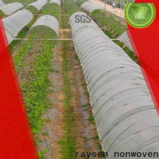 Empresa de telas pesadas para paisajes no tejidas Rayson 1