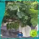 rayson nonwoven non woven viscose fabric manufacturer 1