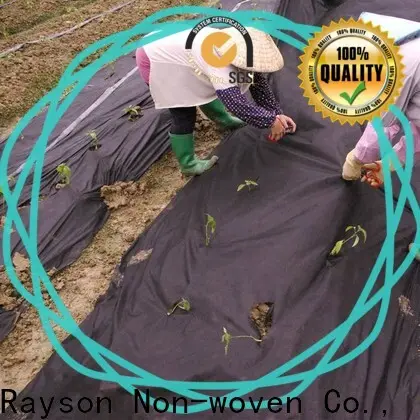 Rayson nonwoven Toplu satın alma ODM peyzaj kumaşı kaya fiyatı altında 1