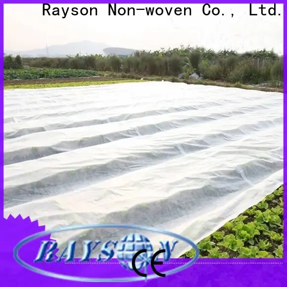 produttore di fornitori di tessuti paesaggistici non tessuti Rayson 1
