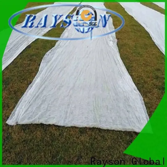 Rayson non tessuto barriere migliori azienda di tessuti paesaggistici 1