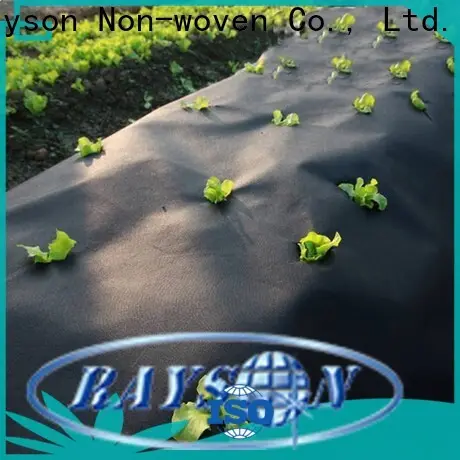 Rayson high quality typar landscape fabric price 1