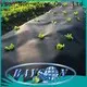 Rayson high quality typar landscape fabric price 1