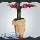 Rayson 부직포 Rayson 도매 맞춤형 PP 부직포 스펀본드 직물 제조 업체 1