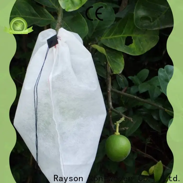 Hersteller von Rayson-Vliesstoff-Einlagestoffen1 1