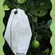 Hersteller von Rayson-Vliesstoff-Einlagestoffen1 1