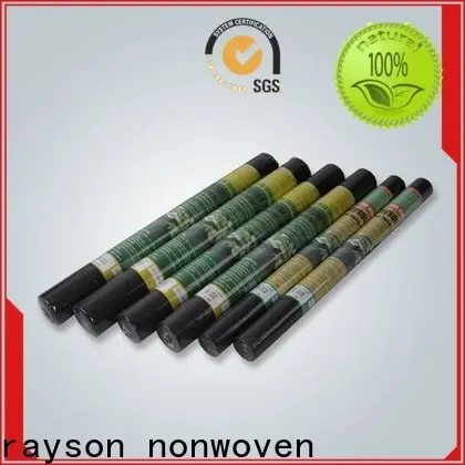 Rayson Nonwoven en iyi peyzaj kumaşı üreticisi 1