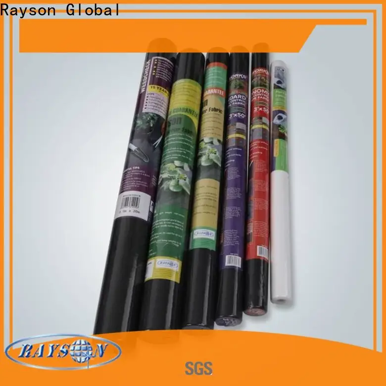 Rayson non tessuto Rayson Custom ODM vita non tessuti azienda di punta NC 1
