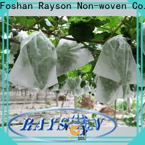 Rayson Оптовый поставщик нетканых материалов ODM 1
