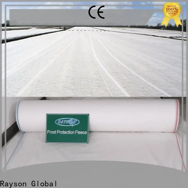 Rayson Custom toplu olarak en iyi nptel dokumasız 1