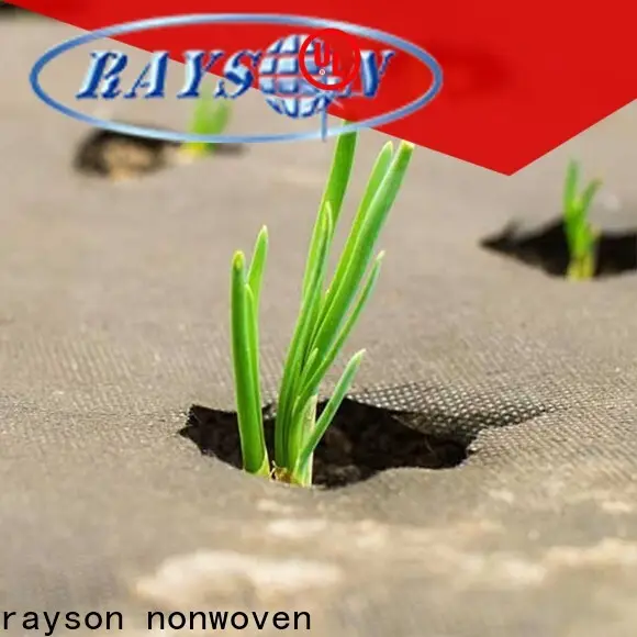 Rayson non tessuto Acquista all'ingrosso il prezzo del tessuto pro landscape 1