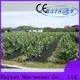 azienda di coperture in tessuto non tessuto Rayson 1