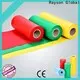 rayson nonwoven pp spunbond nonwoven fabric manufacturer in bulk 1