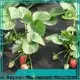 Wholesale high quality microfiber nonwoven factory 1