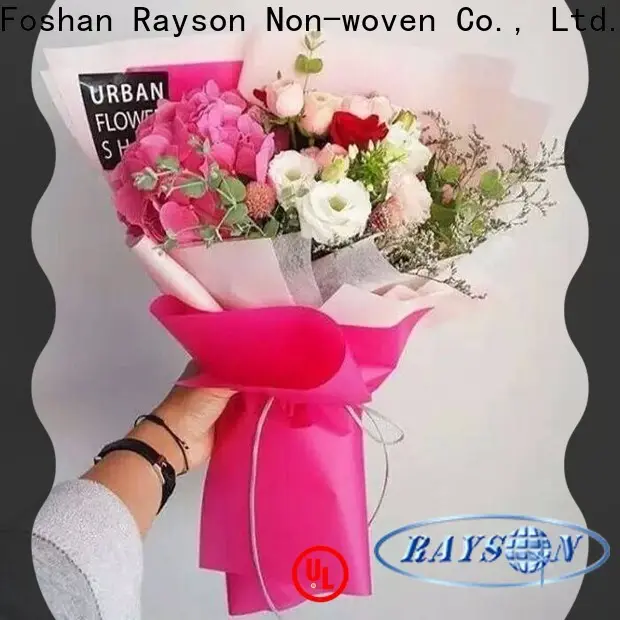 rayson nonwoven melt blown polypropylene nonwoven fabric manufacturer 1