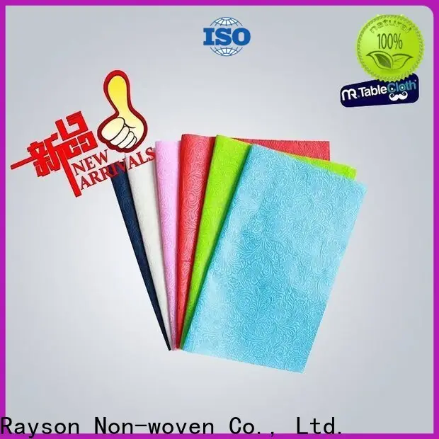 produttore di tovaglie usa e getta blu non tessute Rayson 1