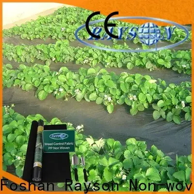 prix du tissu de mauvaises herbes de jardin non tissé Rayson 1