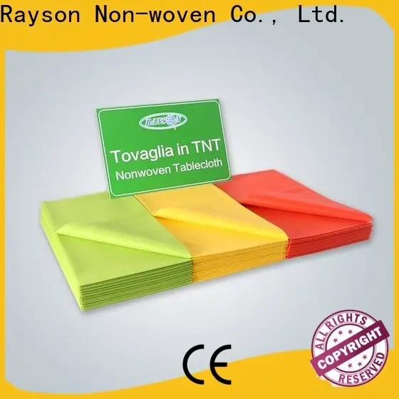 Rayson non tessuto Il miglior produttore di tovaglie usa e getta non tessute personalizzate 1