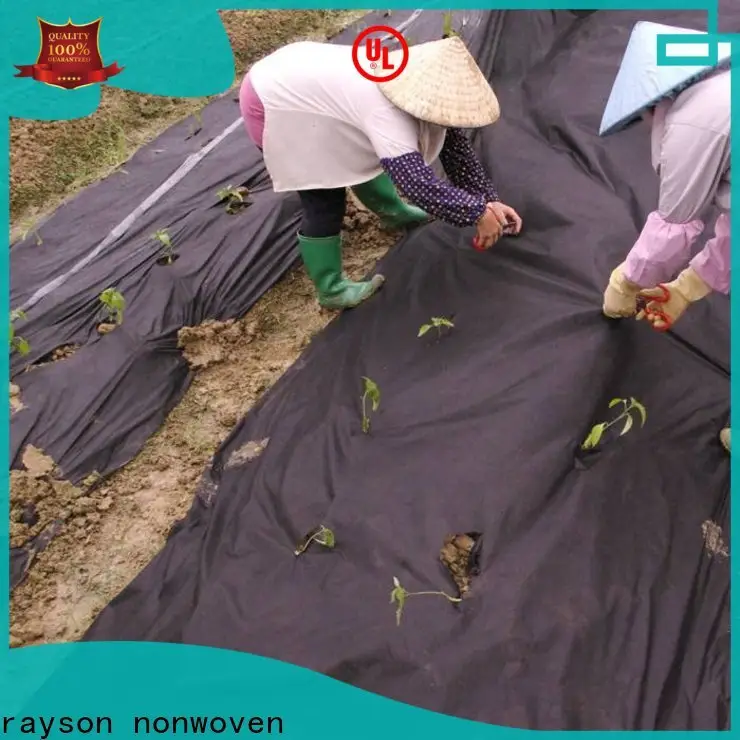 रेयॉन नॉनवुवेन ओडीएम खरपतवार अवरोधक निर्माता का उच्च गुणवत्ता वाला रोल 1