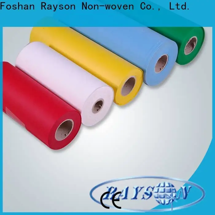 rayson nonwoven pp nonwoven spunbond fabric company 1