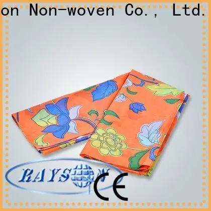 Rayson nonwoven Rayson Nonwoven kumaş rulo üreticisinin toptan özel maliyeti 1