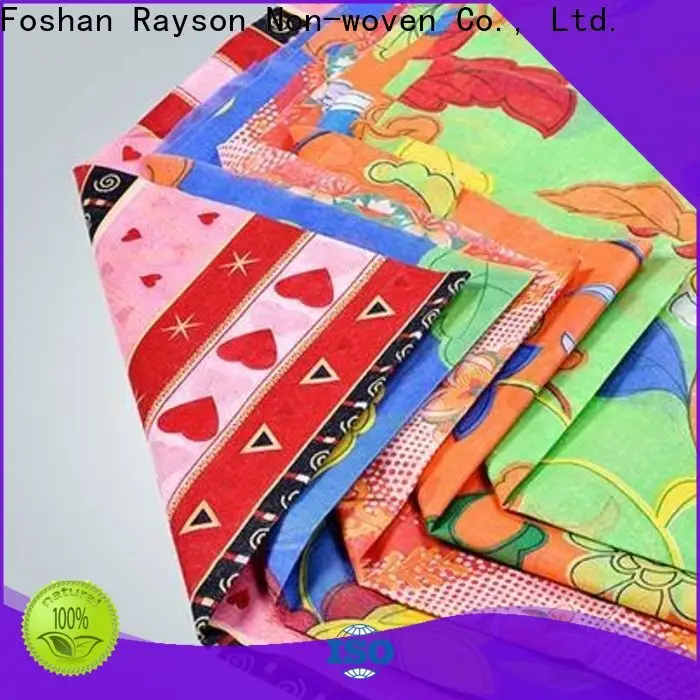 rayson nonwoven spunbond nonwoven polypropylene fabric material supplier 1
