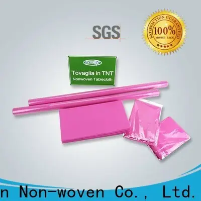 Tovaglia in tessuto non tessuto Rayson TNT sfusa 1