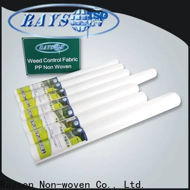 Fabricante de telas no tejidas Rayson para cubrir plantas. 1