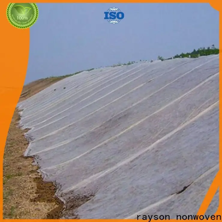 Rayson non tessuto Acquista all'ingrosso ODM fabbrica di alternative al tessuto paesaggistico 1
