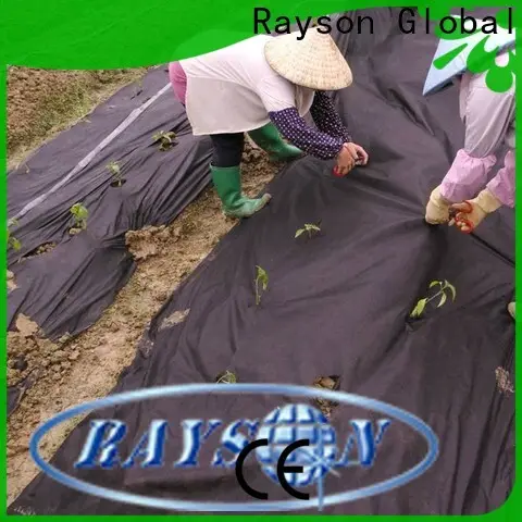 rayon nonwoven Toplu bahçe üreticisi için OEM ot sayfası satın alın 1