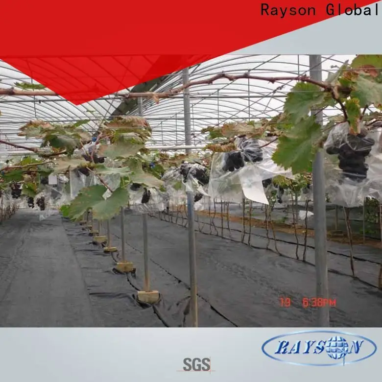 Rayson Custom best weed control ground cover membrane manufacturer 1