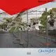 Rayson Custom best weed control ground cover membrane manufacturer 1