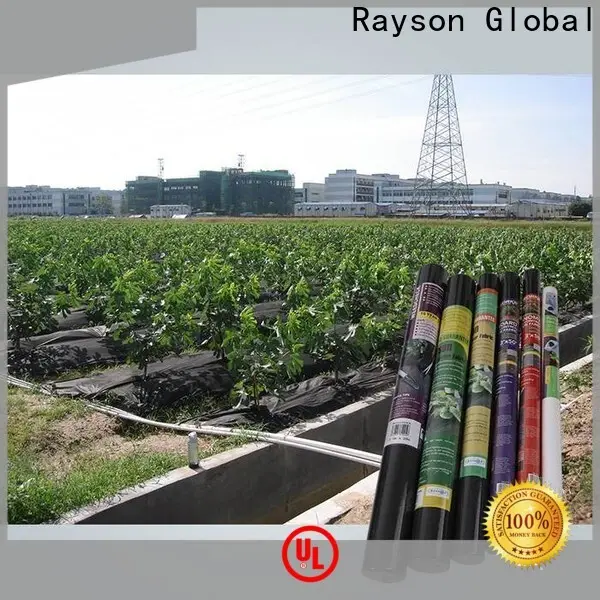 Rayson nonwoven Toplu satın alma ODM ot blok kumaş sebze bahçeleri için fabrika 1