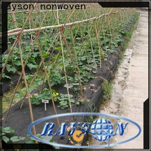 rayson nonwoven OEM ground weed barrier supplier 1